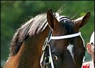 Intrigue Abounds in Woodbine Mile Intrigue Abounds in Woodbine Mile