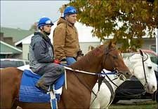 Breeders' Cup Entrant Super Frolic to Blasi Barn Breeders' Cup Entrant Super Frolic to Blasi Barn