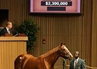 Weekend Strike Sells for $2.3 Million Weekend Strike Sells for $2.3 Million