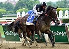 Travers Nominee Japan Fractures Sesamoid Travers Nominee Japan Fractures Sesamoid