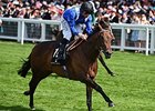 Muhaarar comes home strong to win the Commonwealth Cup.<br><a target="blank" href="http://photos.bloodhorse.com/AtTheRaces-1/At-the-Races-2015/i-JdVfHg6">Order This Photo</a>