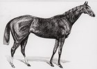 John Feeback's sketch of Tom Bowling from Walter Vosburgh's description