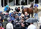 Belmont Stakes News Update for Monday June 1, 2015 Belmont Stakes News Update for Monday June 1, 2015