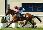 Trip To Paris rolls to victory in the Gold Cup at Royal Ascot.
