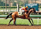 Beholder
