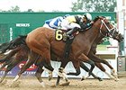 Tencendur (outside) just missed to Mr. Z in the 2015 Ohio Derby