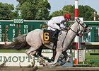 Mr. Jordan Makes Grade in Pegasus Stakes Mr. Jordan Makes Grade in Pegasus Stakes
