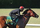 Hip 509, a colt by Into Mischief, worked a quarter of a mile in :20 3/5.