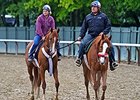 Zito: Frammento Pedigree Suited to Belmont Zito: Frammento Pedigree Suited to Belmont