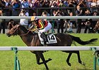 Duramente Takes Japanese Derby in Record Time Duramente Takes Japanese Derby in Record Time