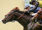 Goldream gets his head in front late to win the King's Stand Stakes.
