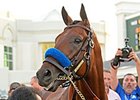 American Pharoah Rests, Will Gallop June 15 American Pharoah Rests, Will Gallop June 15