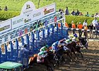 Belmont Park Still Buzzing After Triple Crown Belmont Park Still Buzzing After Triple Crown