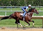 Normandy Invasion