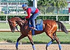 American Pharoah will try to become racing's 12th Triple Crown winner with a victory in the Belmont Stakes.