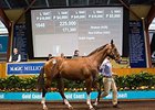 Buyers Selective on Day 1 of MM Yearling Sale Buyers Selective on Day 1 of MM Yearling Sale