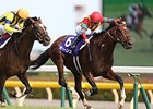 Maurice Finds More for Yasuda Kinen Win Maurice Finds More for Yasuda Kinen Win