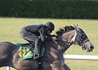 Hip 603 was a co-bullett worker today.
