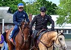 Pony Smokey a Loyal American Pharoah Sidekick Pony Smokey a Loyal American Pharoah Sidekick