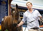 A colt, lot 2057, by young sire Foxwedge was the sale-topper at Aus$340,000 (U.S.$261,800).