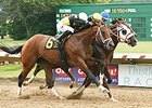 Mr. Z (center, blinkers) gets his head in front to win the Ohio Derby.