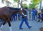 Post Belmont Stakes News Update for June 7 Post Belmont Stakes News Update for June 7