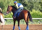 American Pharoah Back on Track at Santa Anita American Pharoah Back on Track at Santa Anita