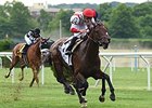 Innovation Economy won the two-mile Belmont Gold Cup Invitational in 2015.<br><a target="blank" href="http://photos.bloodhorse.com/AtTheRaces-1/At-the-Races-2015/i-qW823LS">Order This Photo</a>
