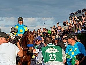 Fans, Horsemen Asked to Submit Pharoah Photos Fans, Horsemen Asked to Submit Pharoah Photos