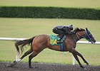 Hip 1114, an unraced 3-year-old gelding named Altar Boy, worked 3 furlongs in :32 flat on the final preview day.