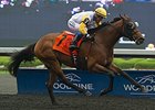 Danish Dynaformer wins the Plate Trial Stakes.