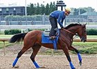 American Pharoah