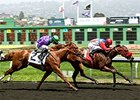 Hope's Love (left), full sister to California Chrome, finished second to Ourprincessmelanie in her debut.