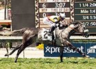 Gaga A won the Possibly Perfect Handicap in her U.S. debut.