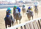 American Pharoah's Belmont victory <br><a target="blank" href="http://photos.bloodhorse.com/TripleCrown/2015-Triple-Crown/Belmont-Stakes-147/i-3FHKJ74">Order This Photo</a>