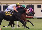 Amelia's Wild Ride (pink blinkers) gets his head in front of Ben's Cat at the finish.
