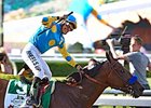American Pharoah<br><a target="blank" href="http://photos.bloodhorse.com/TripleCrown/2015-Triple-Crown/Belmont-Stakes-147/i-3vD6qvF">Order This Photo</a>