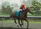 Academic Pulls 66-1 Woodbine Oaks Upset Academic Pulls 66-1 Woodbine Oaks Upset