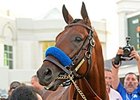 American Pharoah
<br><a target="blank" href="http://photos.bloodhorse.com/AtTheRaces-1/At-the-Races-2015/i-9JBQCRG">Order This Photo</a>