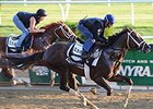 Carpe Diem (outside) and Madefromlucky worked a half-mile May 29 at Belmont Park.<br><a target="blank" href="http://photos.bloodhorse.com/TripleCrown/2015-Triple-Crown/Belmont-Stakes-147/i-nRNLV3z">Order This Photo</a>