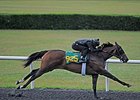 Hip 925, Spectacular Vow, a Broken Vow filly, worked the fastest quarter mile of the day, getting the distance in :20 3/5.