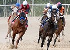 Hillbilly Royalty (right) seeks his first graded stakes win in the Iowa Derby.