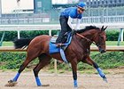 American Pharoah gallops at Churchill Downs May 31.