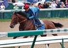 American Pharoah Has Final Breeze for Belmont American Pharoah Has Final Breeze for Belmont