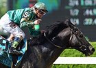 Honor Code
<br><a target="blank" href="http://photos.bloodhorse.com/AtTheRaces-1/At-the-Races-2015/i-X5hHdz3">Order This Photo</a>
