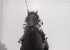Conquistador Cielo wins the 1982 Met Mile.