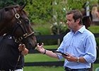 MarketWatch: Jamie Hill on Sires, Pinhooking MarketWatch: Jamie Hill on Sires, Pinhooking