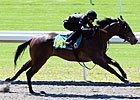 Select 2YO Selling Season: Good and the Bad Select 2YO Selling Season: Good and the Bad