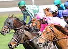 Jockeys Call for Increased Injury Reporting Jockeys Call for Increased Injury Reporting