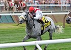 Hard Not to Like will try for a third straight top-level stakes win in the Rodeo Drive Stakes.<br><a target="blank" href="http://photos.bloodhorse.com/AtTheRaces-1/At-the-Races-2015/i-Nsrp5Wq">Order This Photo</a>